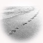 Preview: Spuren im Sand